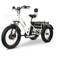 GOBIKE FORTE All Terrain Electric Tricycle-My Perfect Scooter