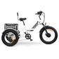 GOBIKE FORZA All Terrain Electric Tricycle-My Perfect Scooter