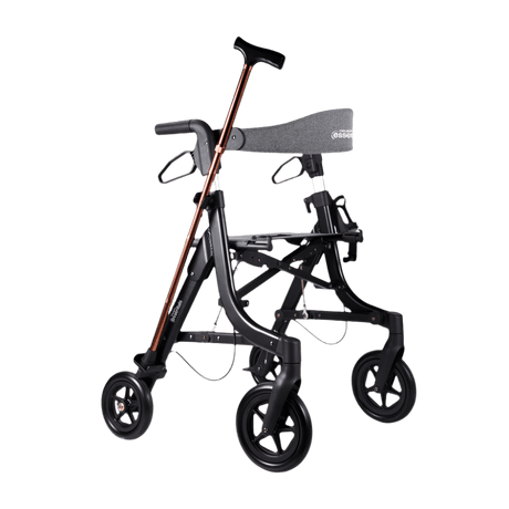 Triumph Mobility Compact Rollator With Cane Holder 